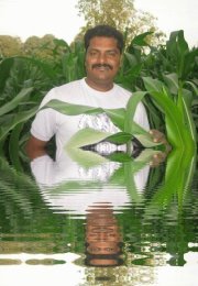 दिपक साळवे