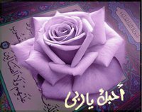 أحمد إدزكري