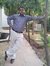 Sujeet ...
