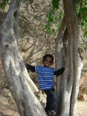 Mary Arul