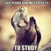 แงซาย งายแซ