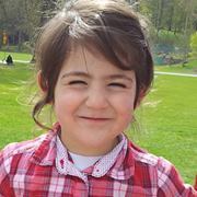 سيلين الشام