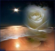 Rizwan Ahmad mughal