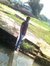 Dheeraj...