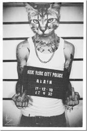 Руслан Байрамов