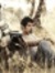 Aswin N...