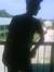 Wenefre...