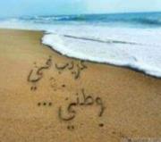 غريب في وطني