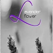 Lavender Flower