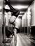 Irina M...