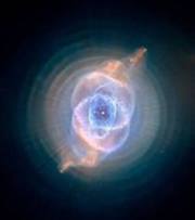 محمد أكرم الشوربجى