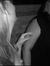 Laurin ...