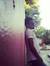 Ahmed Z...