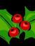 Holly