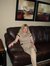 Doris S...