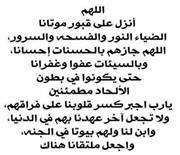 Aml Mohamed