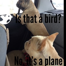 Conniejeffusyahoo.com