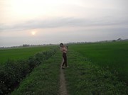 Diệu Linh