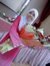 Amini H...