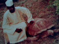 Abdullateef Aliyu