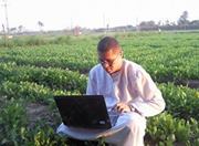 Mohamed Saad