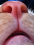 Kevin