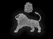 بلال الفيلي