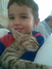 يونس أبوزيد