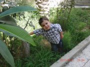 سلسل الصغيرة