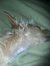 Tina Smith