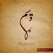 وسيم الشعبوني