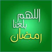 Mohammed Abd el-maugood