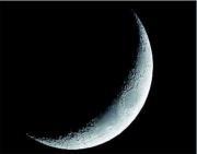 محمود البيومي