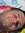 Chris G...