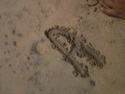 Arundhati Chakrabarty