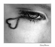 النورس المدريدي