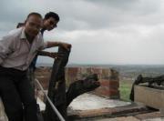 Daksh Goyal