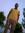 Ahmed A...