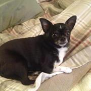 Greganddenise Bishop