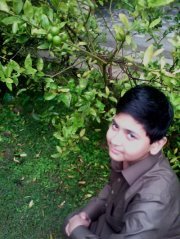 Zeeshan Zeeshan khan