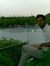 Ayoob Gh