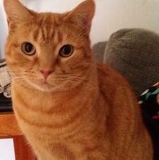 Kaitlyn Lafferty-ritchie