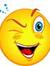 Prakash...