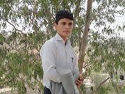 علي الأهنومي