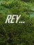 Reynold...