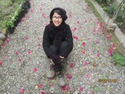 Avishan Bagheri