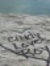 Cindy Burr
