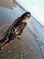 Avery C...