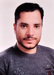 محسن الحكيمى