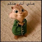 Fedaa Dhalieh